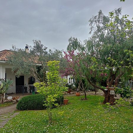 Hotel La Casa Di Fede Lanuvio Esterno foto